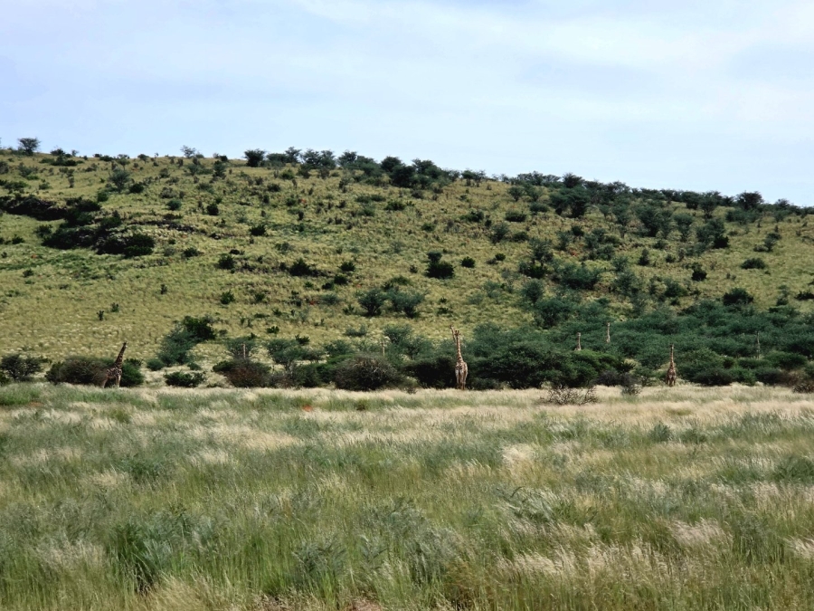 Commercial Property for Sale in Griekwastad Rural Northern Cape